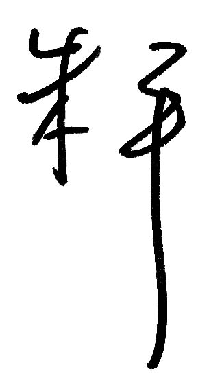 Ping Signature橫